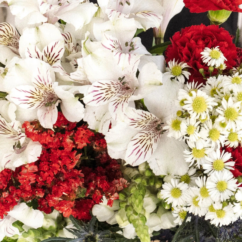 Red Textured Filler Flower Pack Close Up - Image