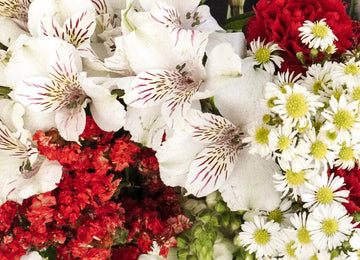Red Textured Filler Flower Pack Close Up - Image