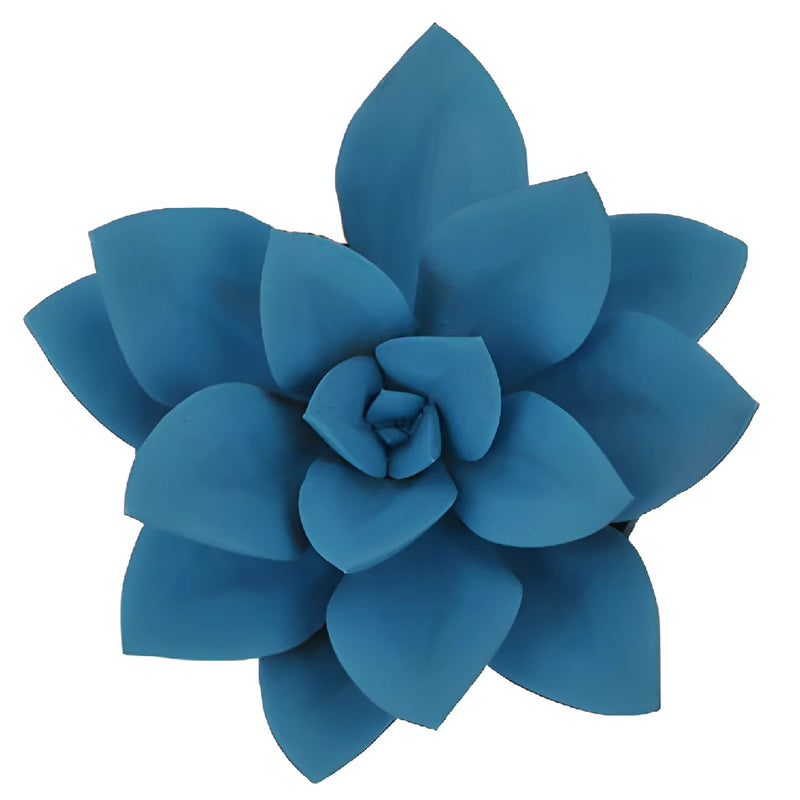 Blue Tinted Succulents