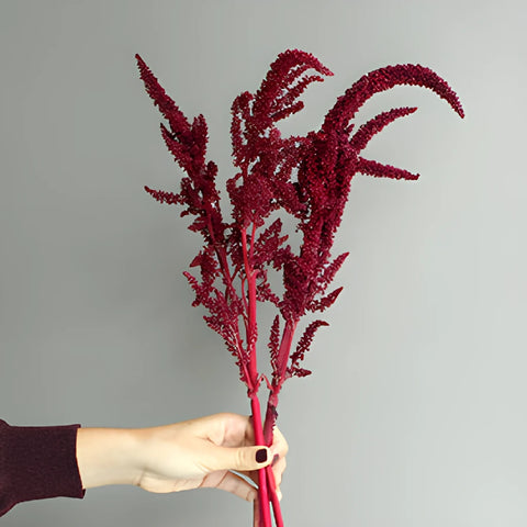 Red Upright Amaranthus Fresh Greens