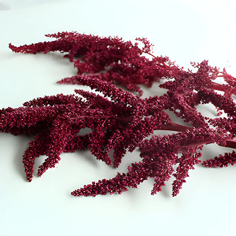 Red Upright Amaranthus Fresh Greens