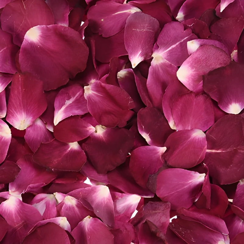 Red Dried Rose Petals
