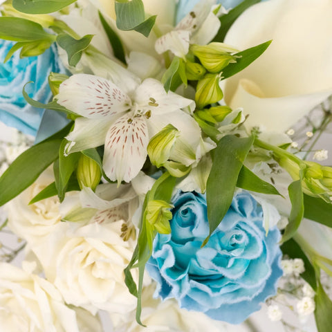 Velvet Blue Fresh Rose Diy Flower Kit Close Up - Image