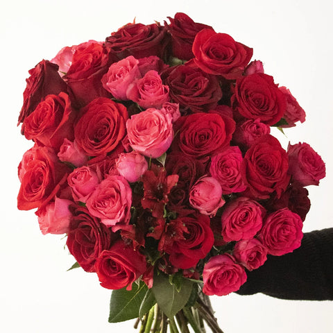 Rich Red Rose Bouquet in Hand