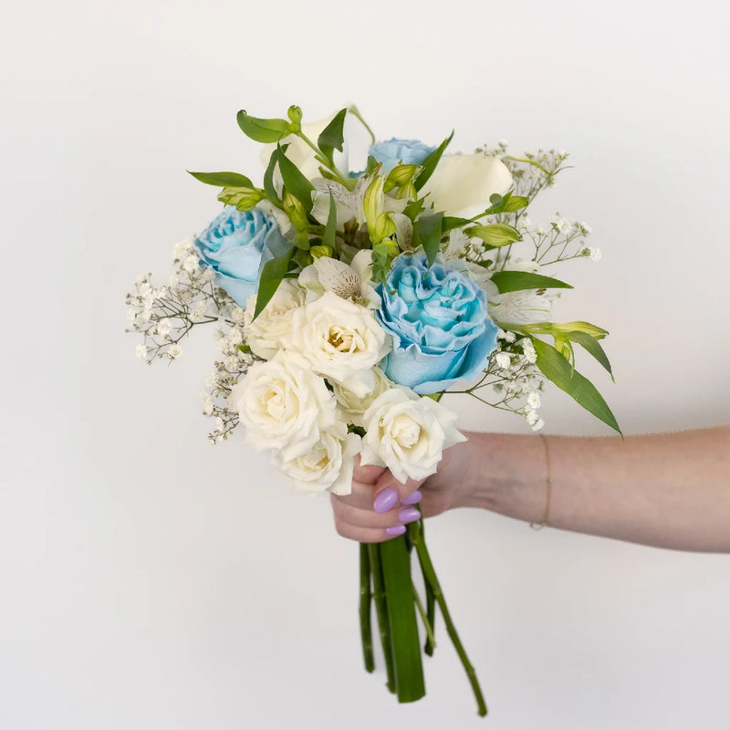 Velvet Blue Fresh Rose Diy Flower Kit Hand - Image