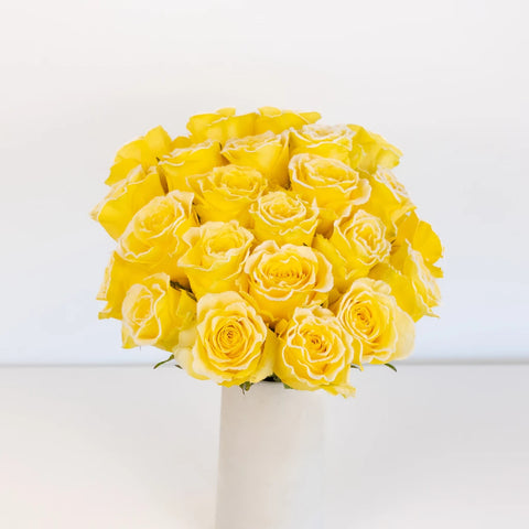 Rise And Shine Fuzzy Roses Vase - Image