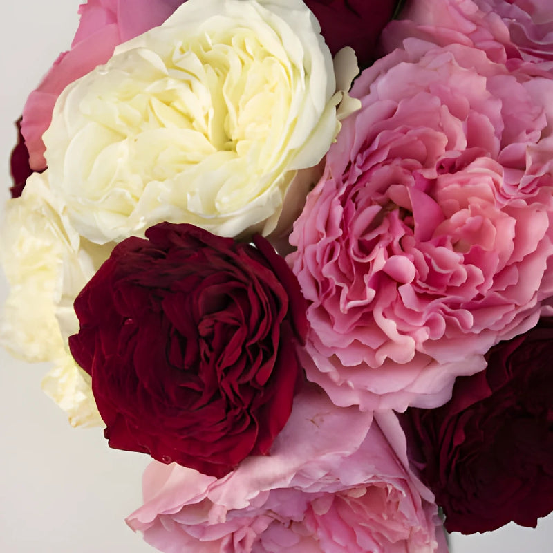 Romantic Night Fresh Cut Mayra Roses