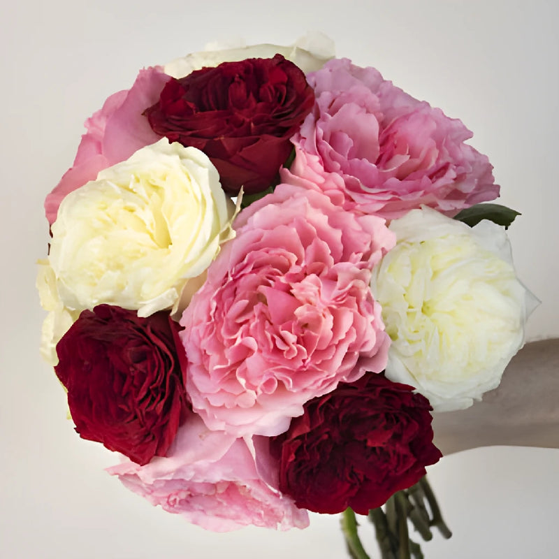 Romantic Night Fresh Cut Mayra Roses