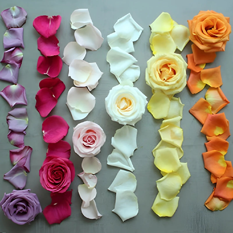 Valentine's Romantic Roses And Petals Combo Close Up - Image