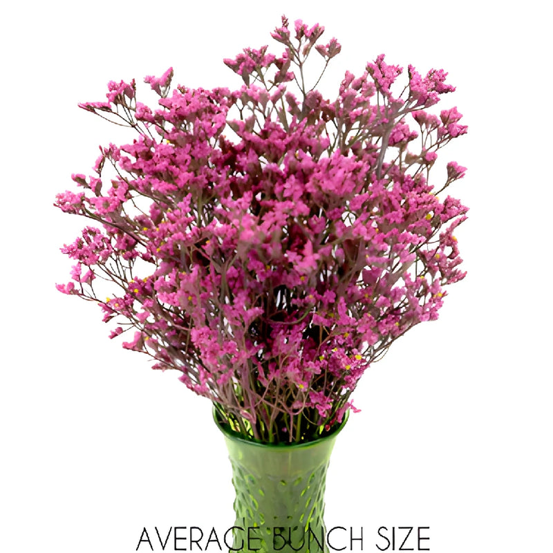 Rose Pink Tinted Limonium Flowers