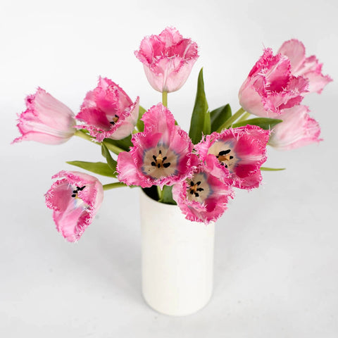 Pink Fringe Tulip Flower Bunch in Vase