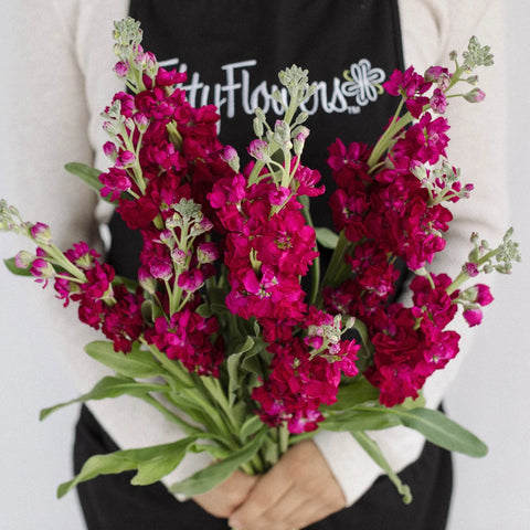 Stock Roseberry Flower Apron - Image