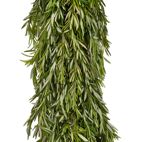 Rosemary Greens Garland