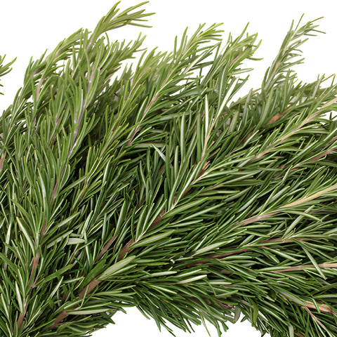 Rosemary Wreaths