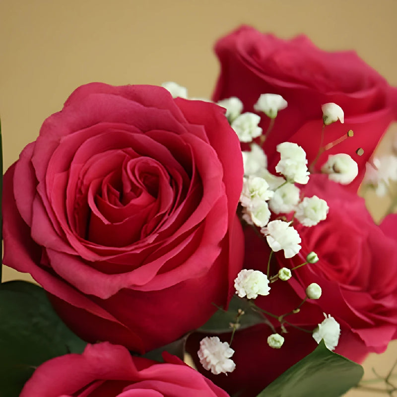 Vday Dozen Color Rose Arrangement - Image