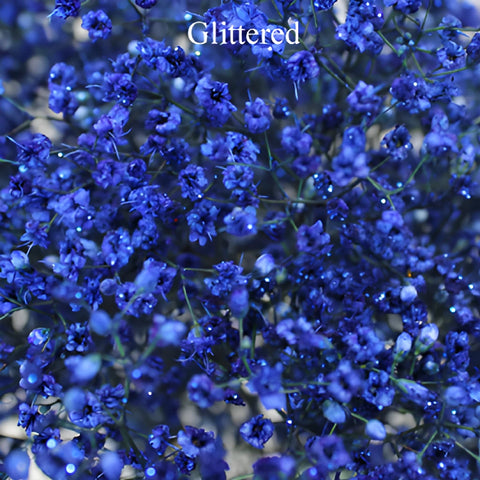 Royal Blue Airbrushed Baby's Breath Flower