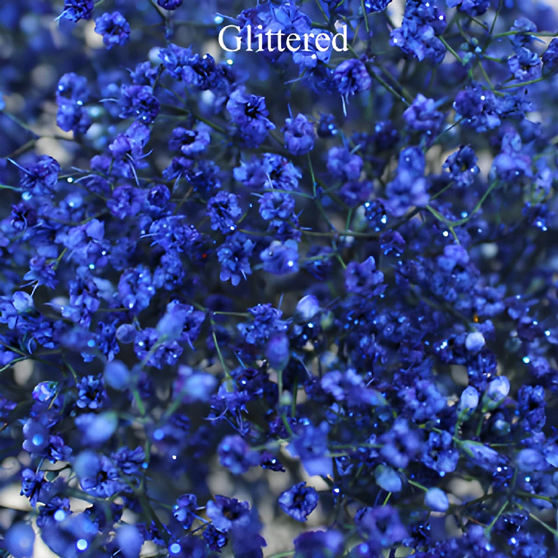 Royal Blue Airbrushed Baby's Breath Flower