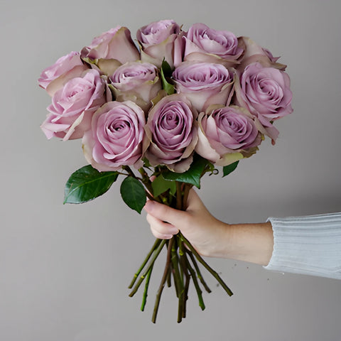 Royal Crown Rose