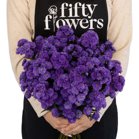 Purple Duplo Aster Apron - Image