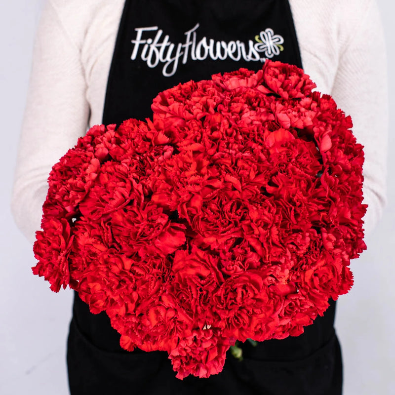 Red Carnations Flower Bouquet in Hand