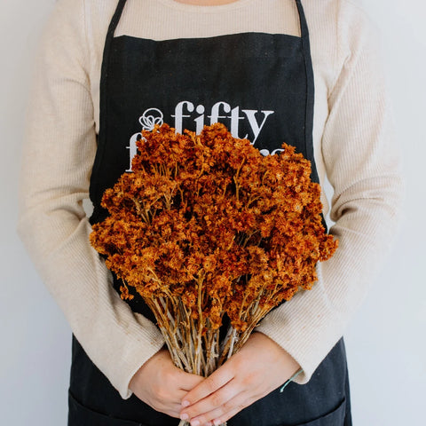 Rustic Brown Dried Andrean Asters Apron - Image