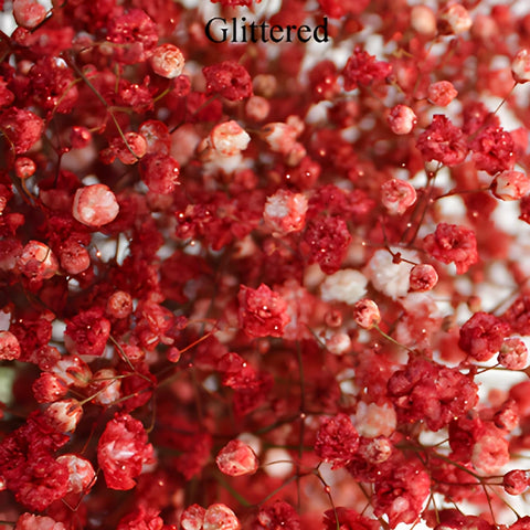 Rust Red Tinted Baby's Breath Flower