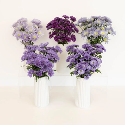 Purple Sapphire Pom Diy Flower Kit Stem - Image