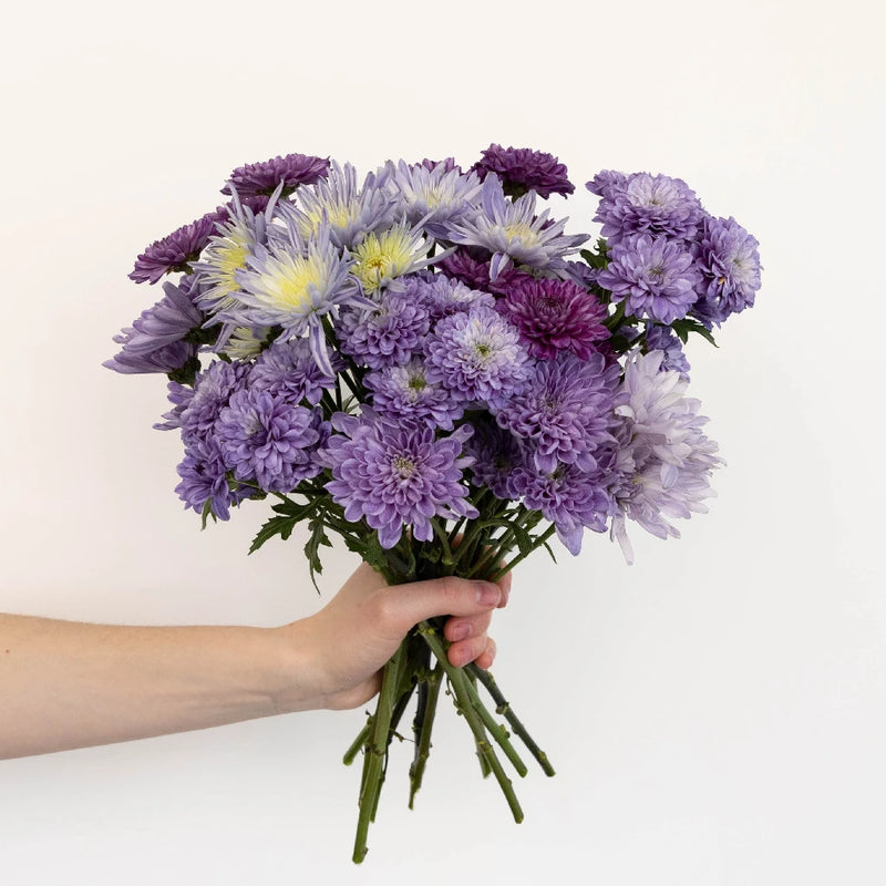 Purple Sapphire Pom Diy Flower Kit Vase - Image