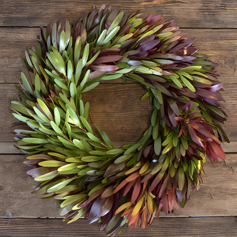Safari Sunset Wreaths