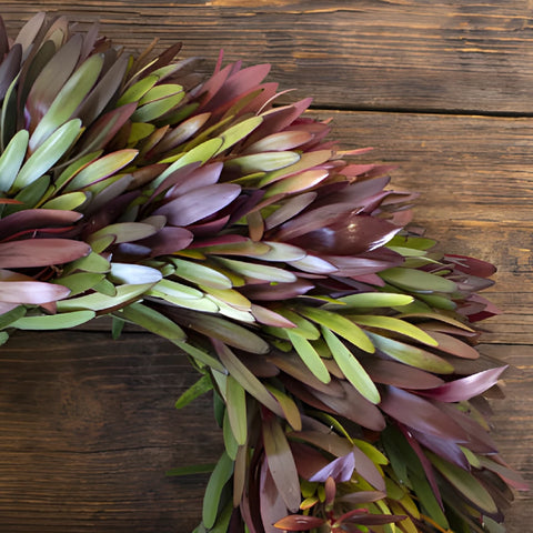 Safari Sunset Wreaths