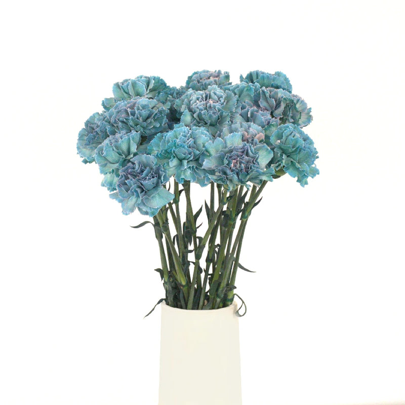 Naju Vase - Image