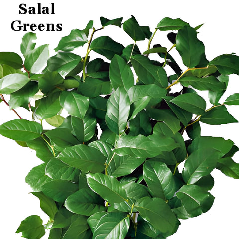 Salal and Ruscus Greens Garland