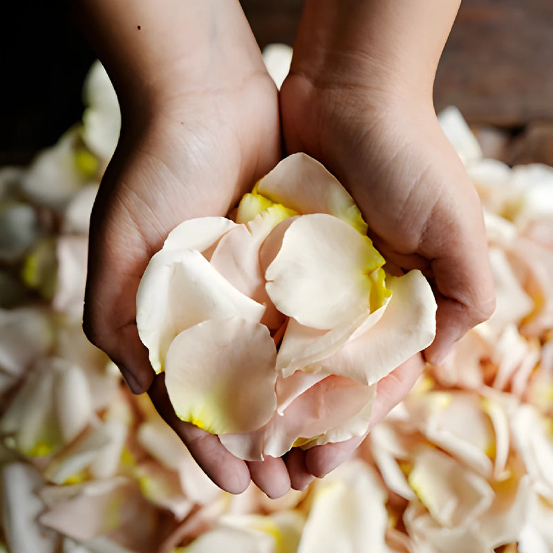 Dried Rose Petals Sandy