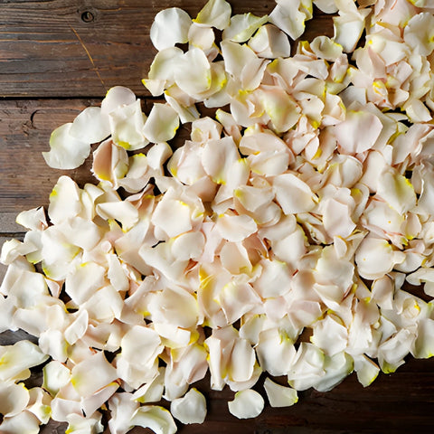Rose Petals Bulk Sandy