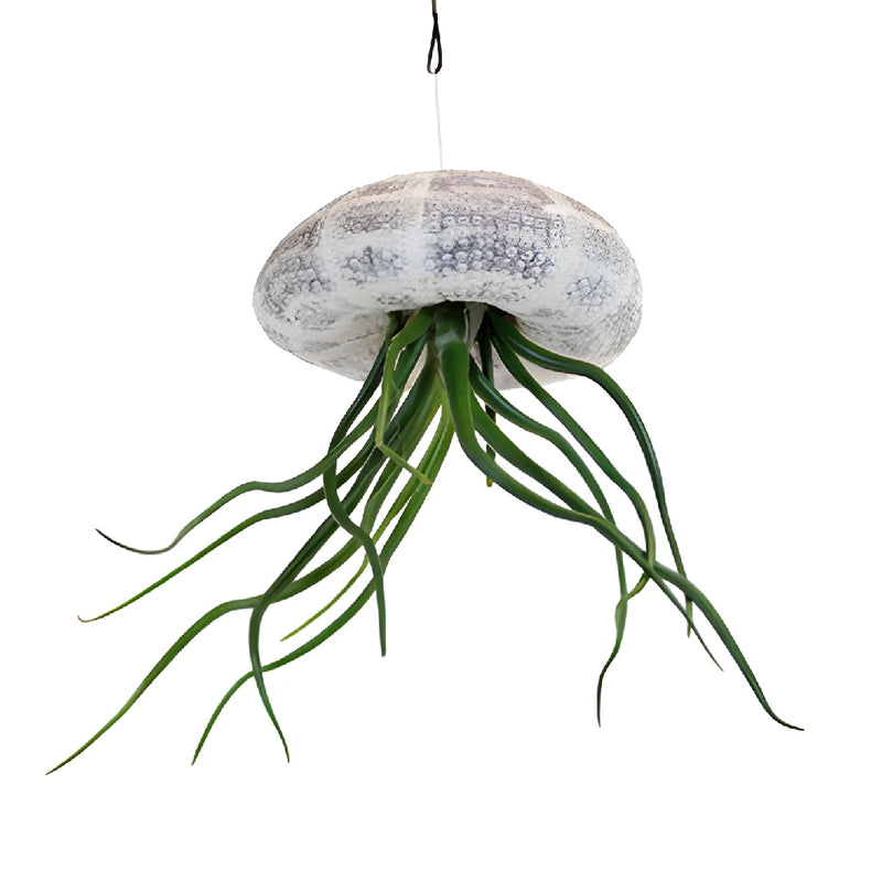 Sea Urchin Shell Base Air Plants