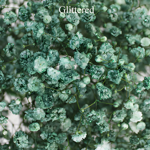 Seafoam Green Airbrushed Baby's Breath Flower