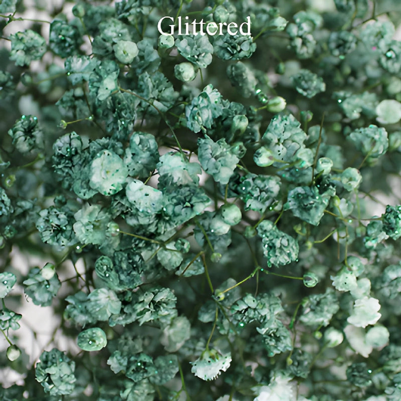 Seafoam Green Airbrushed Baby's Breath Flower