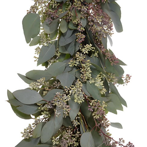 Eucalyptus Garland Wholesale Greenery Up Close