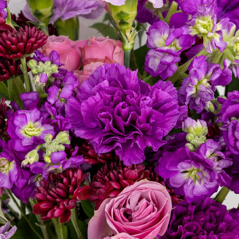 Shades Of Purple Flower Bouquet Close Up - Image