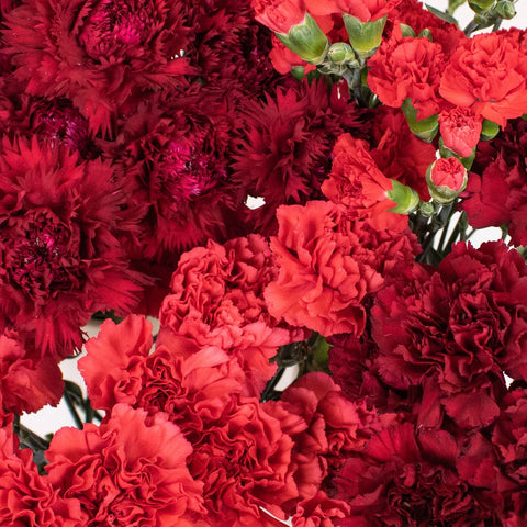 Red and Burgundy Flower Kit Up Close