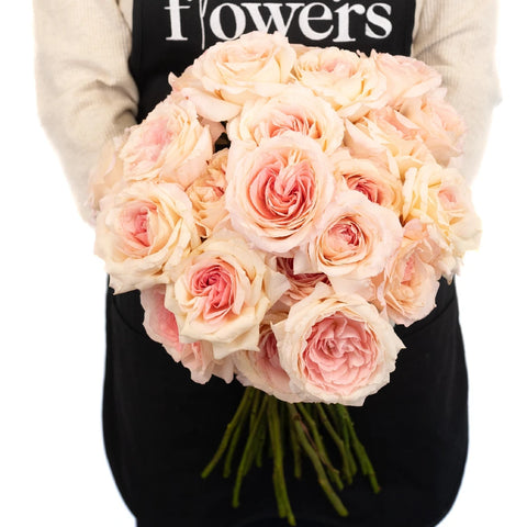Cabbage Rose Shell Pink Apron - Image