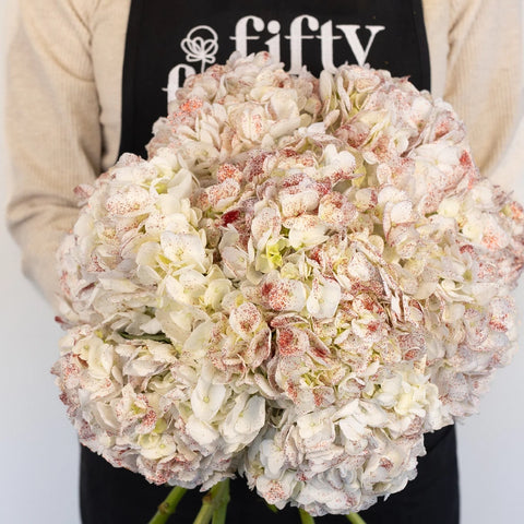 Shimmer Rouge White Hydrangea Apron - Image