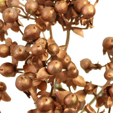 Silver and Gold Tinted Mixed Hypericum Berries