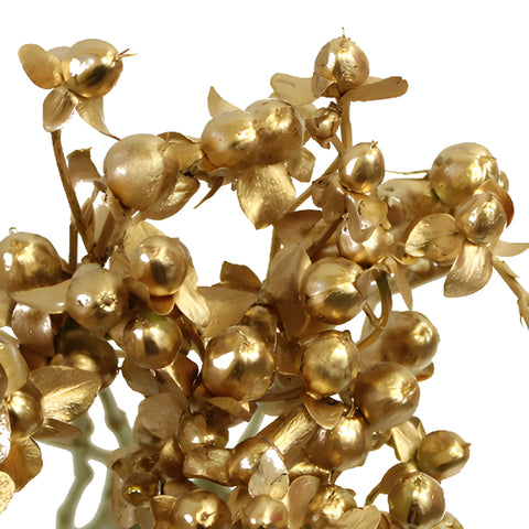 Silver and Gold Tinted Mixed Hypericum Berries