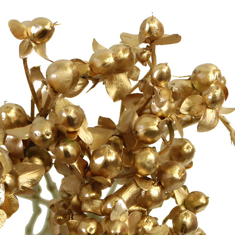 Silver and Gold Tinted Mixed Hypericum Berries