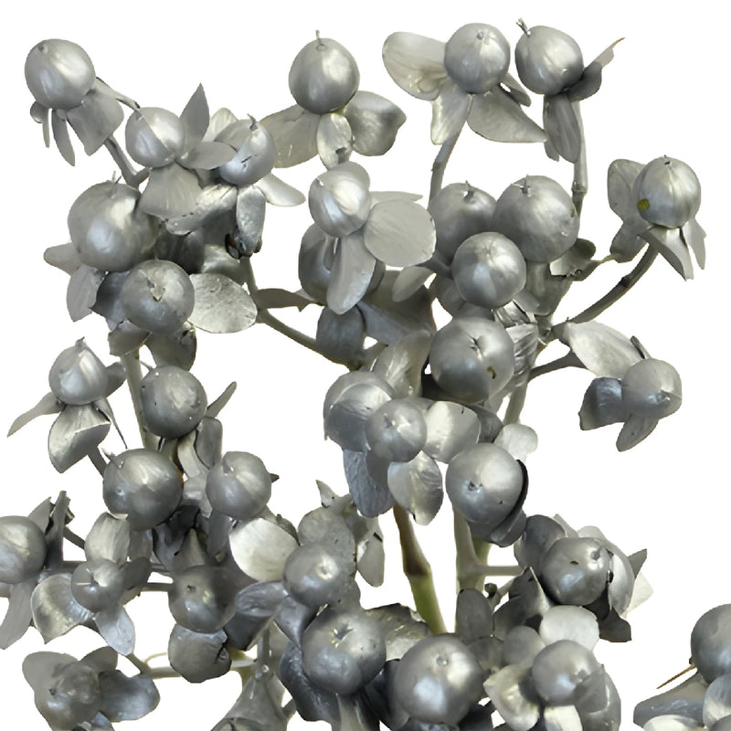 Silver and Gold Tinted Mixed Hypericum Berries