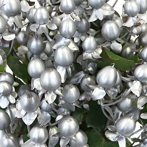 Silver Designer Tinted Hypericum Berries