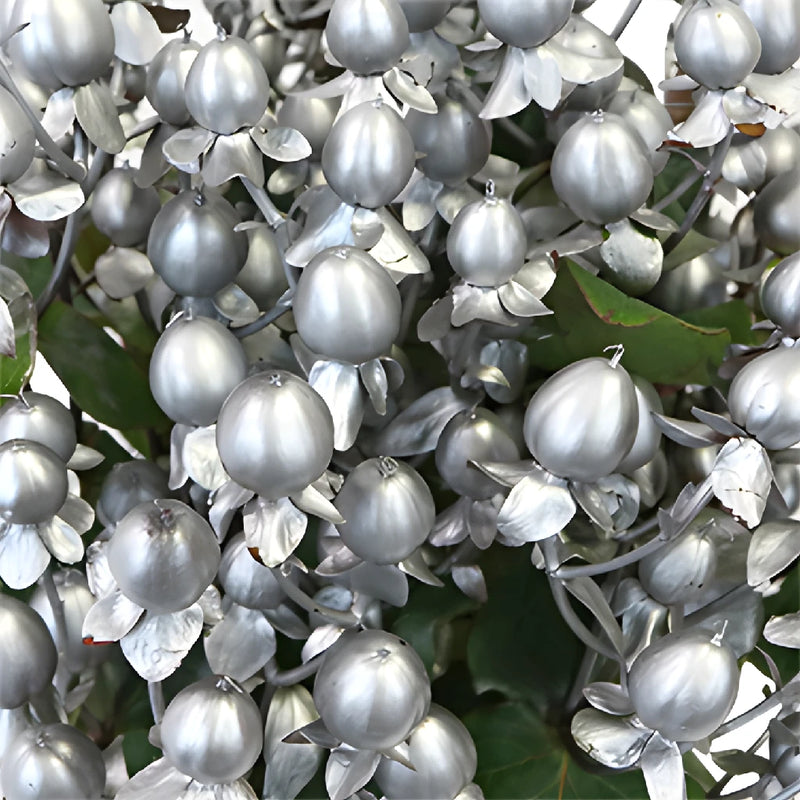 Silver Designer Tinted Hypericum Berries