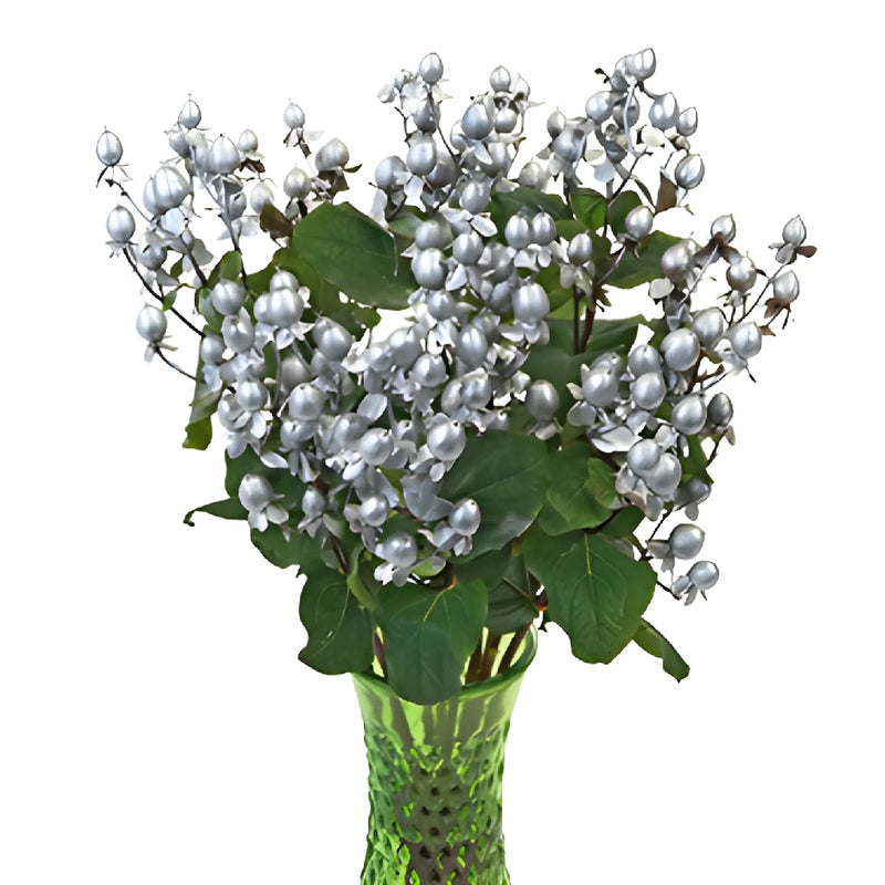 Silver Designer Tinted Hypericum Berries
