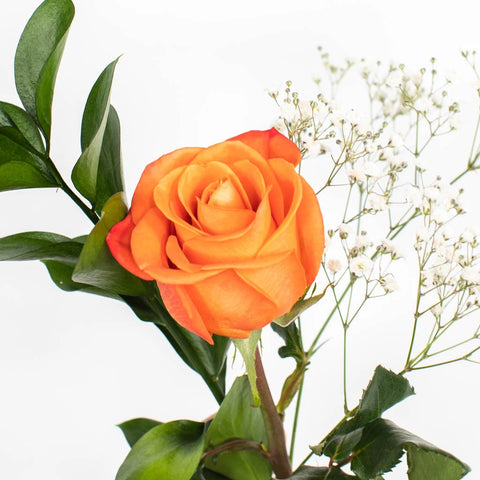 Single Stem Rose Bouquet for Fundraising